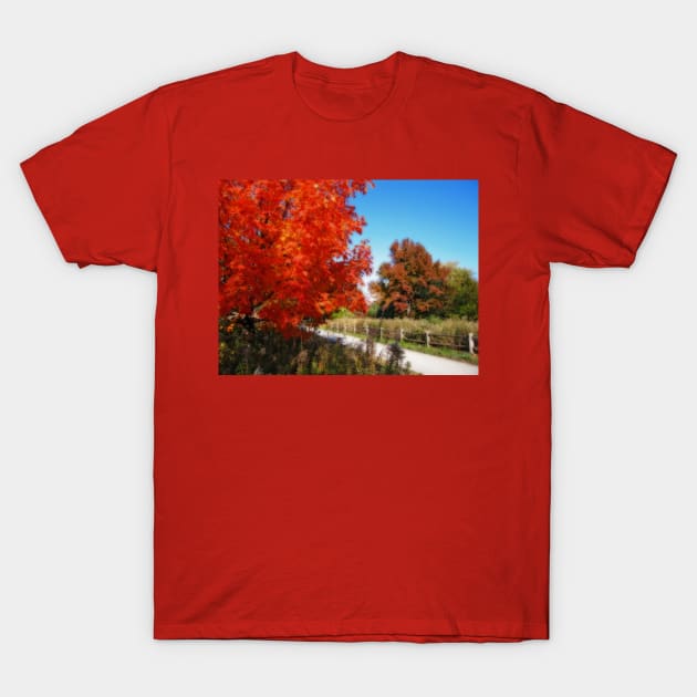 Fall in Pennsylvania T-Shirt by vadim19